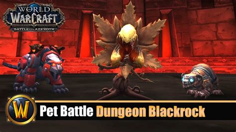 blackrock depths pet battle guide.